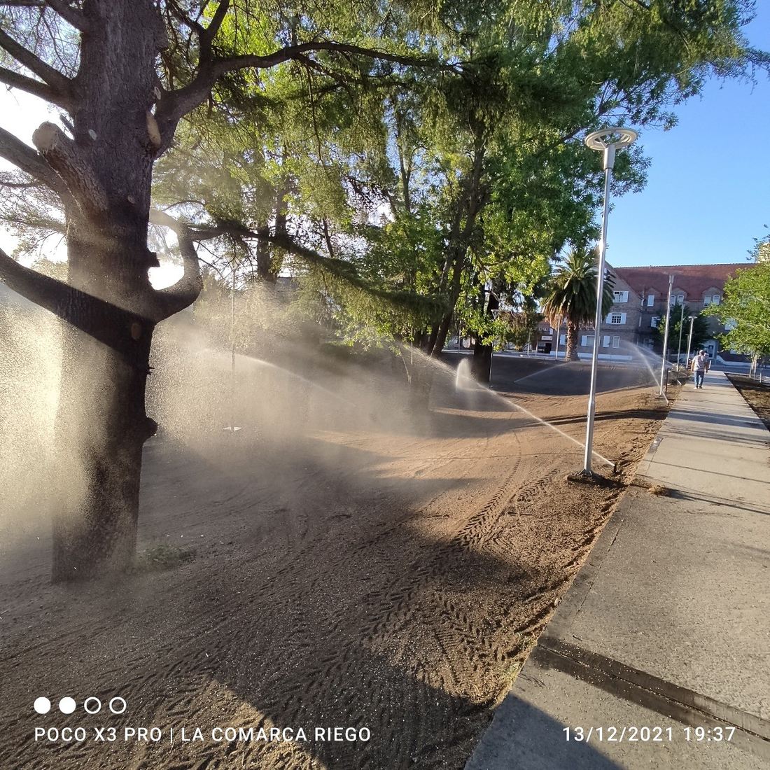 Prueba de riego sobre un talud descubierto junto a arbolado adulto existente