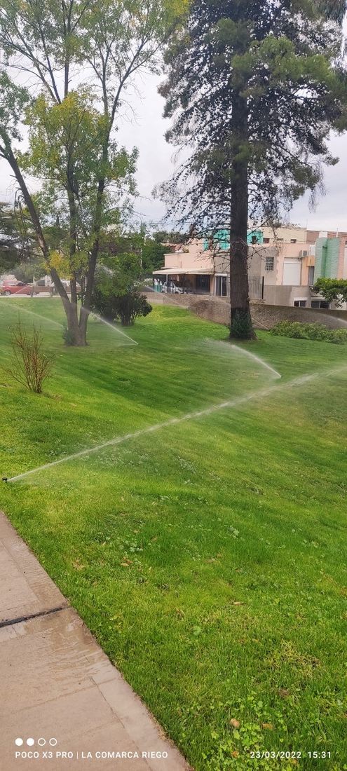 Sendero interno flanqueado por céspedes recién implantados